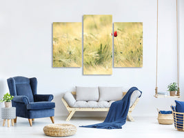 modern-3-piece-canvas-print-a-poppy