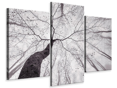 modern-3-piece-canvas-print-a-view-of-the-tree-crown
