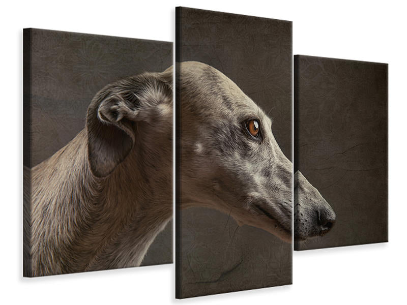 modern-3-piece-canvas-print-anna