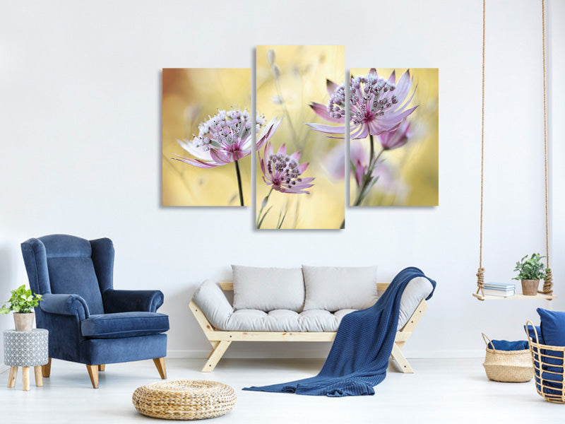 modern-3-piece-canvas-print-astrantia-major