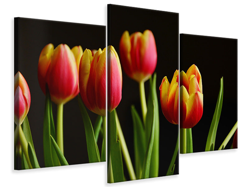 modern-3-piece-canvas-print-colorful-tulips