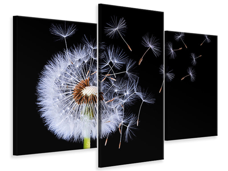 modern-3-piece-canvas-print-dandelion-blowing