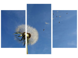 modern-3-piece-canvas-print-dandelion-i-wish-for-something