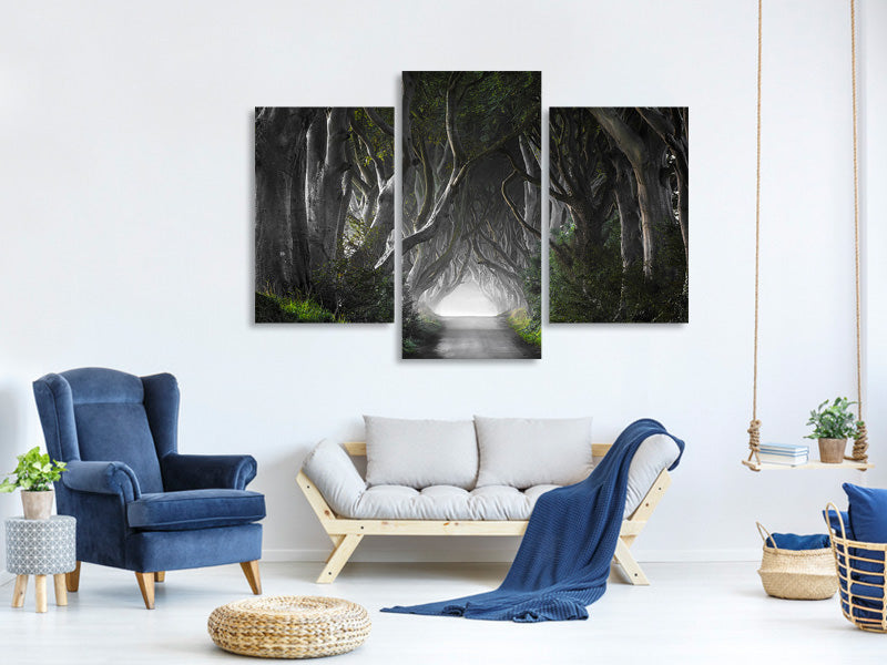 modern-3-piece-canvas-print-dark-hedges