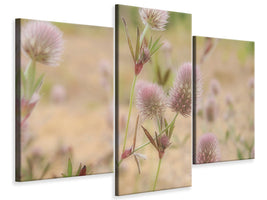 modern-3-piece-canvas-print-delicate-flowers