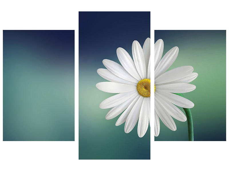 modern-3-piece-canvas-print-flower