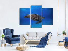 modern-3-piece-canvas-print-green-turtle-in-the-blue