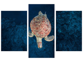 modern-3-piece-canvas-print-green-turtle-on-blue-water