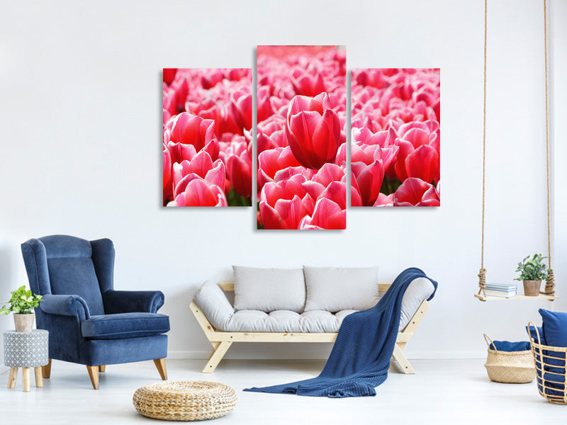 modern-3-piece-canvas-print-happy-tulip-field