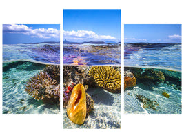 modern-3-piece-canvas-print-lagoon-life