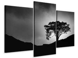 modern-3-piece-canvas-print-lone-tree