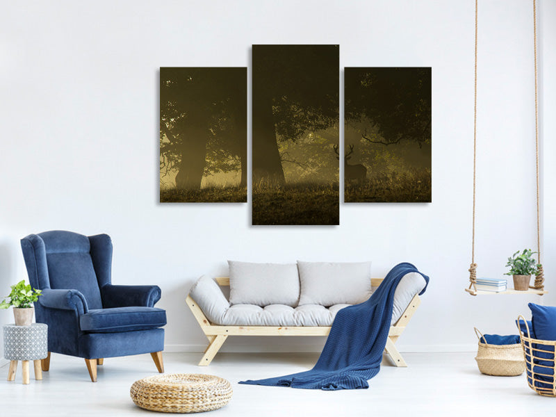 modern-3-piece-canvas-print-magical-sunrise