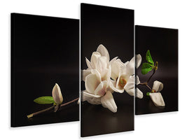 modern-3-piece-canvas-print-magnolia