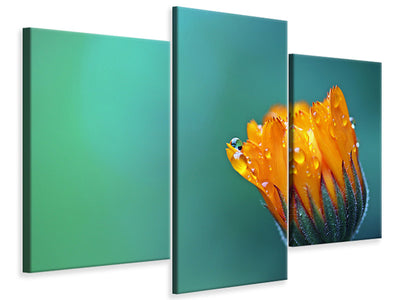 modern-3-piece-canvas-print-marigold-in-morning-dew