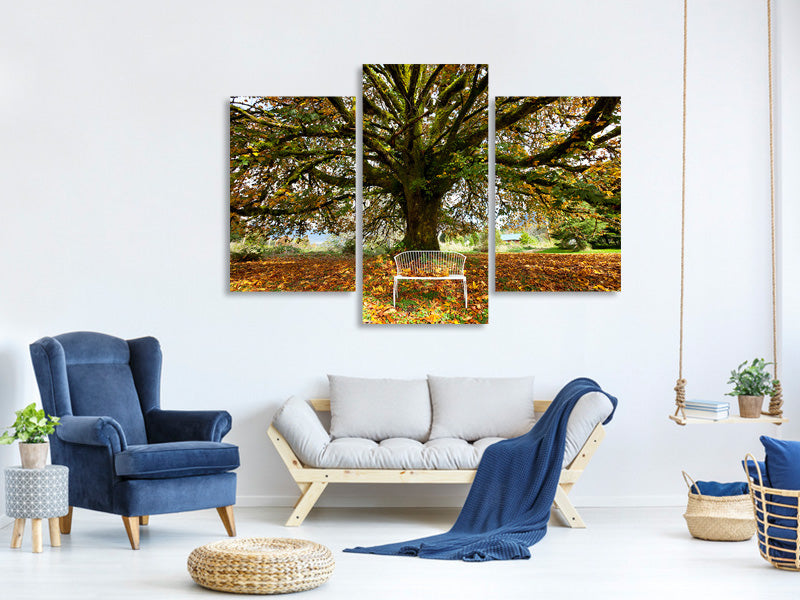 modern-3-piece-canvas-print-my-favorite-tree