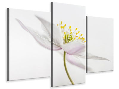 modern-3-piece-canvas-print-nemorosa-iii