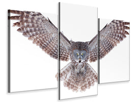 modern-3-piece-canvas-print-power-great-grey-owl