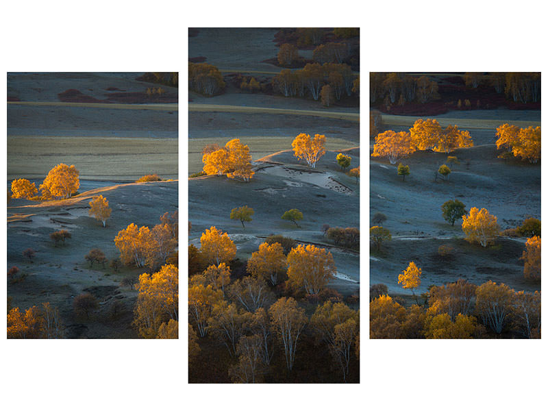 modern-3-piece-canvas-print-prairie-light