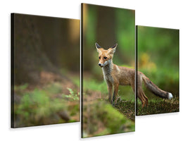 modern-3-piece-canvas-print-red-fox