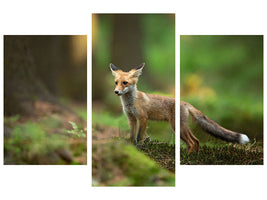 modern-3-piece-canvas-print-red-fox