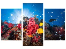 modern-3-piece-canvas-print-reef-life