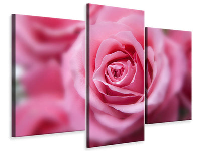 modern-3-piece-canvas-print-roses-macro