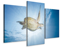 modern-3-piece-canvas-print-sea-turtle-green-turtle