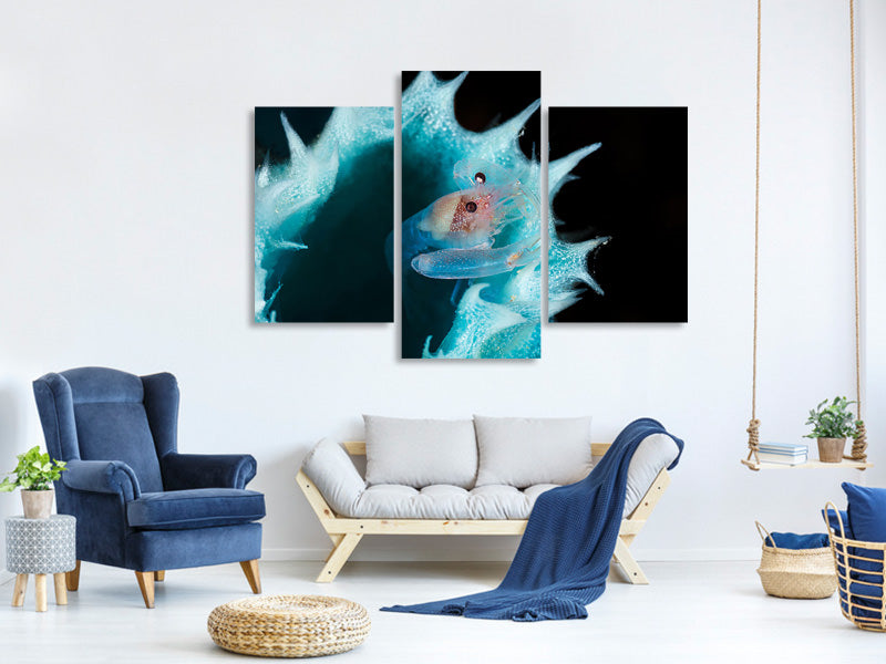 modern-3-piece-canvas-print-shrimp-in-a-blue-sponge