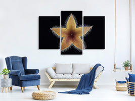 modern-3-piece-canvas-print-stapelia-grandiflora