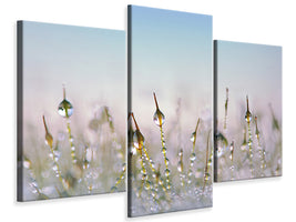 modern-3-piece-canvas-print-the-dew-drops