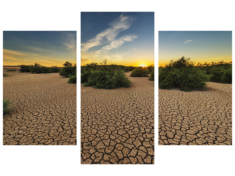 modern-3-piece-canvas-print-the-drought