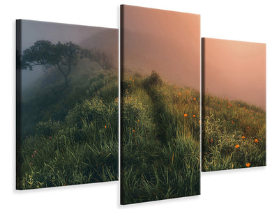 modern-3-piece-canvas-print-the-story-of-the-foggy-morning