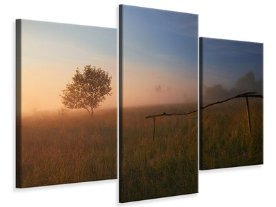 modern-3-piece-canvas-print-the-summer-field