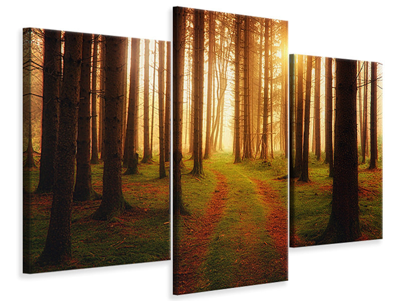 modern-3-piece-canvas-print-the-unknown-way