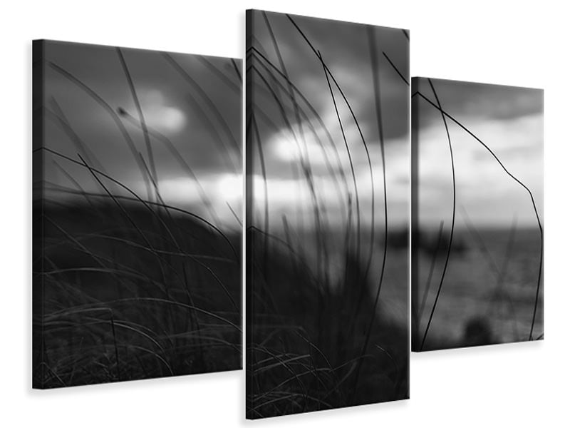 modern-3-piece-canvas-print-the-wind-brings-the-night