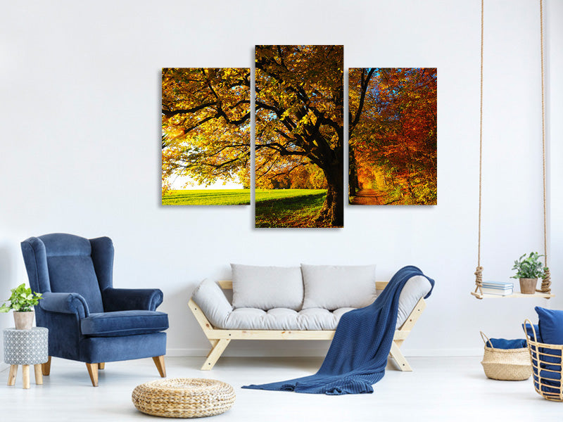 modern-3-piece-canvas-print-trees-in-the-autumn