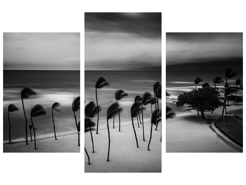modern-3-piece-canvas-print-tropical-storm