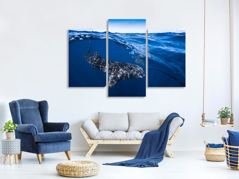 modern-3-piece-canvas-print-whale-shark-on-split-level