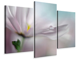 modern-3-piece-canvas-print-where-dreams-come-true