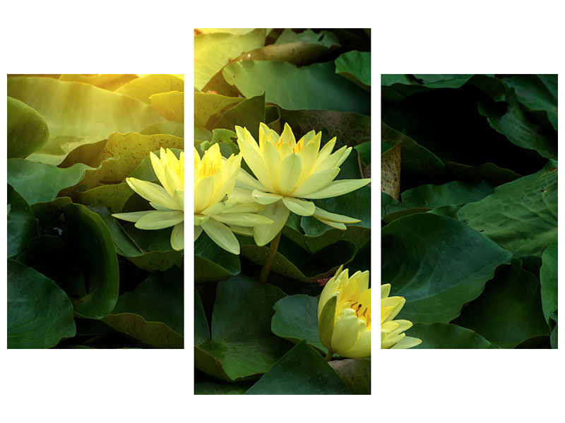 modern-3-piece-canvas-print-wild-lotus