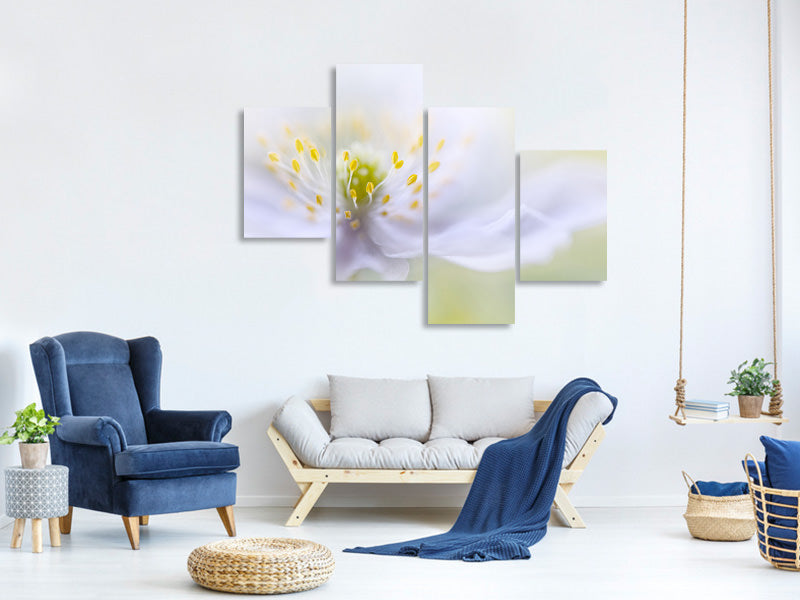 modern-4-piece-canvas-print-anemone-beauty