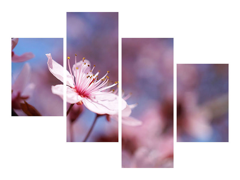 modern-4-piece-canvas-print-close-up-cherry-blossom