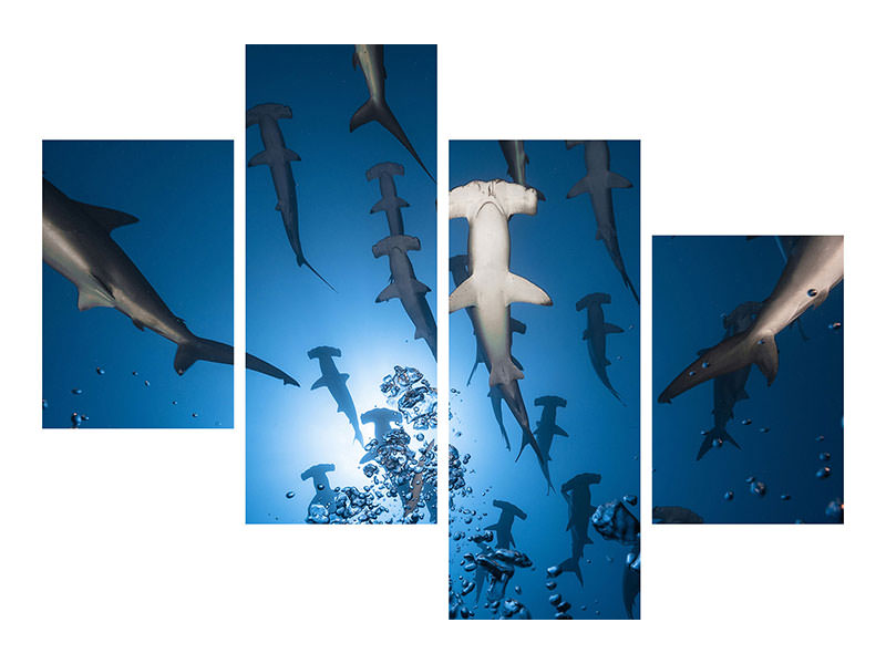 modern-4-piece-canvas-print-hammerhead-shark