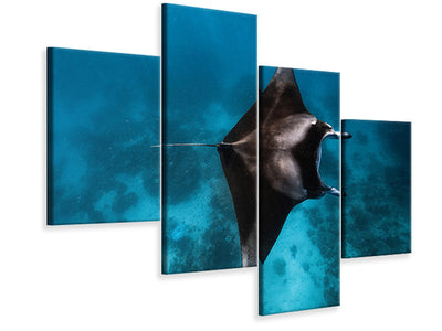 modern-4-piece-canvas-print-manta-fly