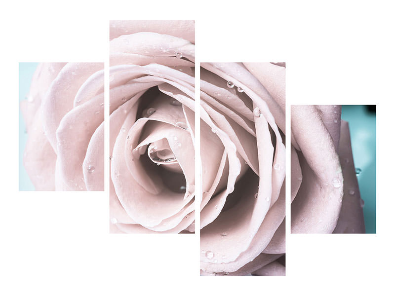 modern-4-piece-canvas-print-pastel-rose