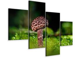 modern-4-piece-canvas-print-strobilomyces-strobilaceus