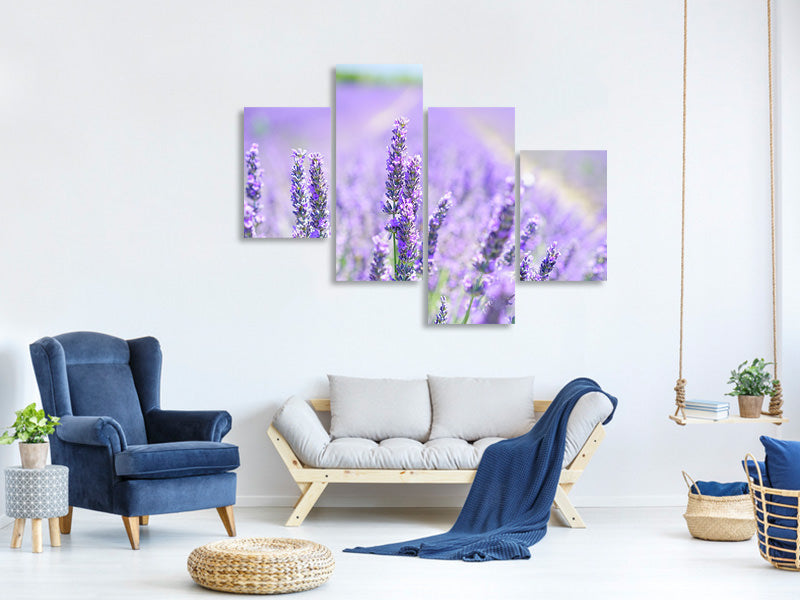 modern-4-piece-canvas-print-the-lavender-blossom