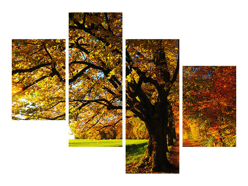 modern-4-piece-canvas-print-trees-in-the-autumn