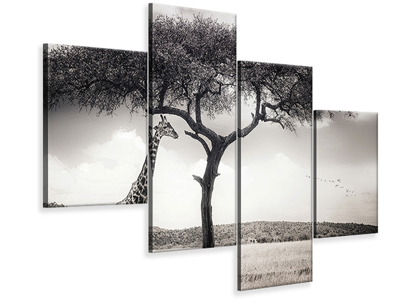 modern-4-piece-canvas-print-under-the-african-sun