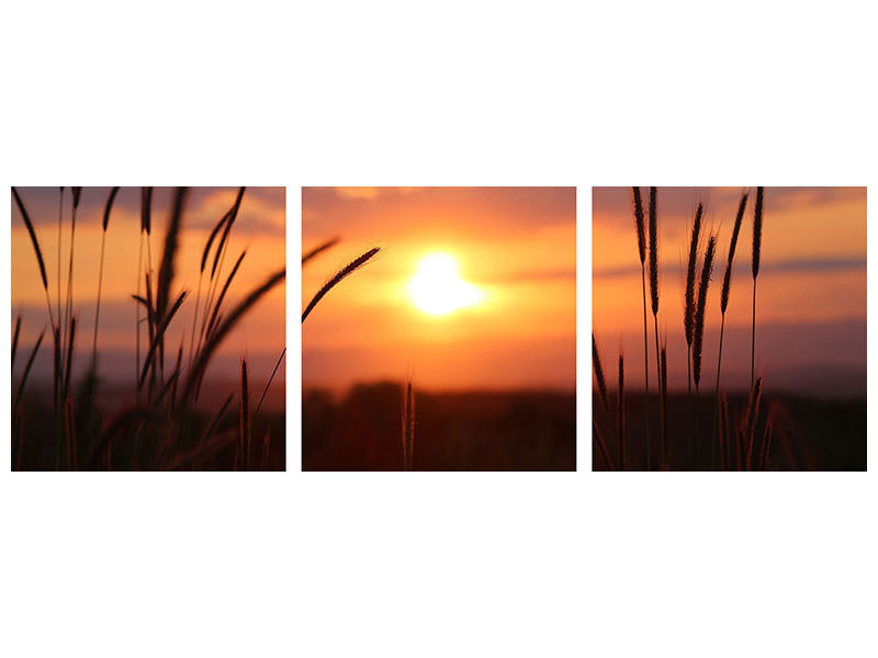 panoramic-3-piece-canvas-print-adorable-sunset